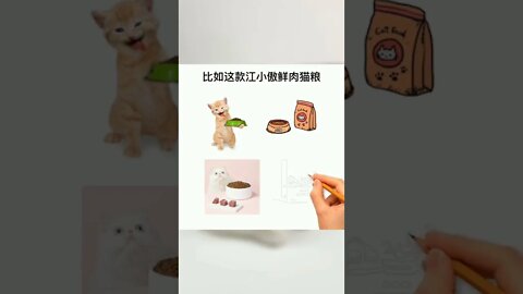 如何让猫咪健康长肉？#猫咪#养猫#猫知识#猫粮