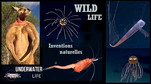 "La Nature"? Une invention clairement venue d'ailleurs (Hd 1080)