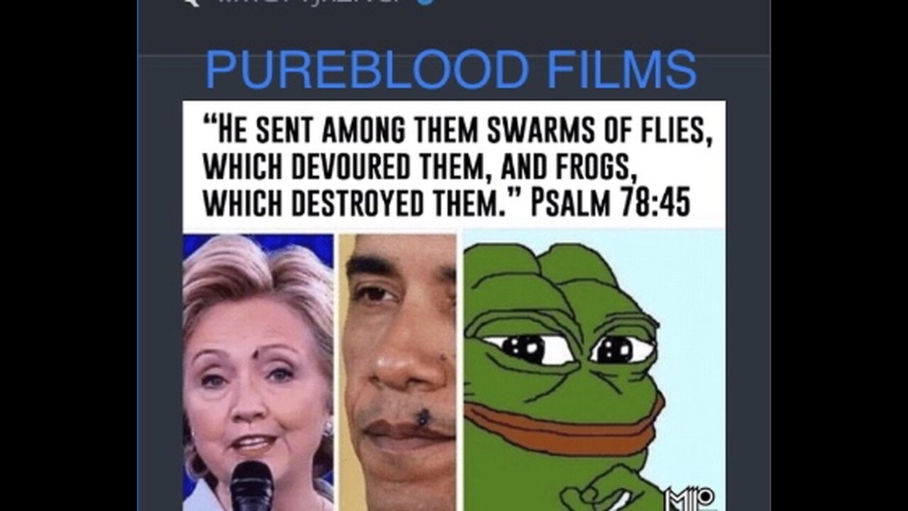 LIES - PUREBLOOD FILMS