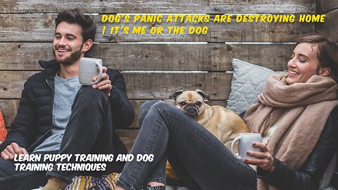 Dog's Panic Attacks are Destroying Home | It's Me or The Dog