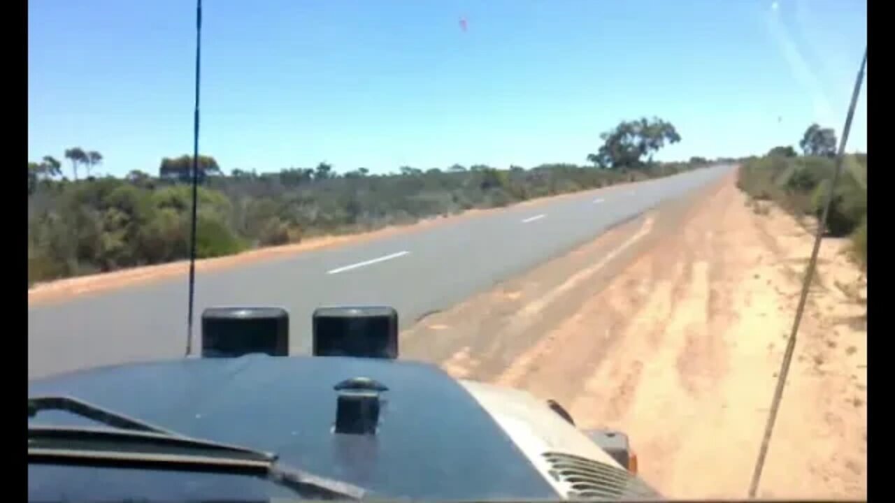 Kelpies, Land Cruisers and sheep. 😍😍😍😍😍😍