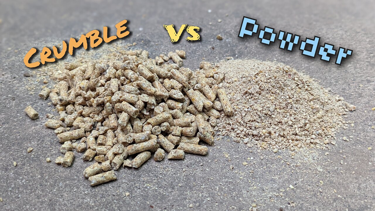 Crumble Laying Feed Quality | Has The Pandemic Permanently Affected Our Livestock Feed?