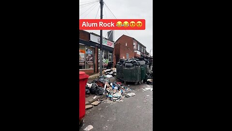 Alum Rock, Birmingham UK: Import The Third World... Become The Third World