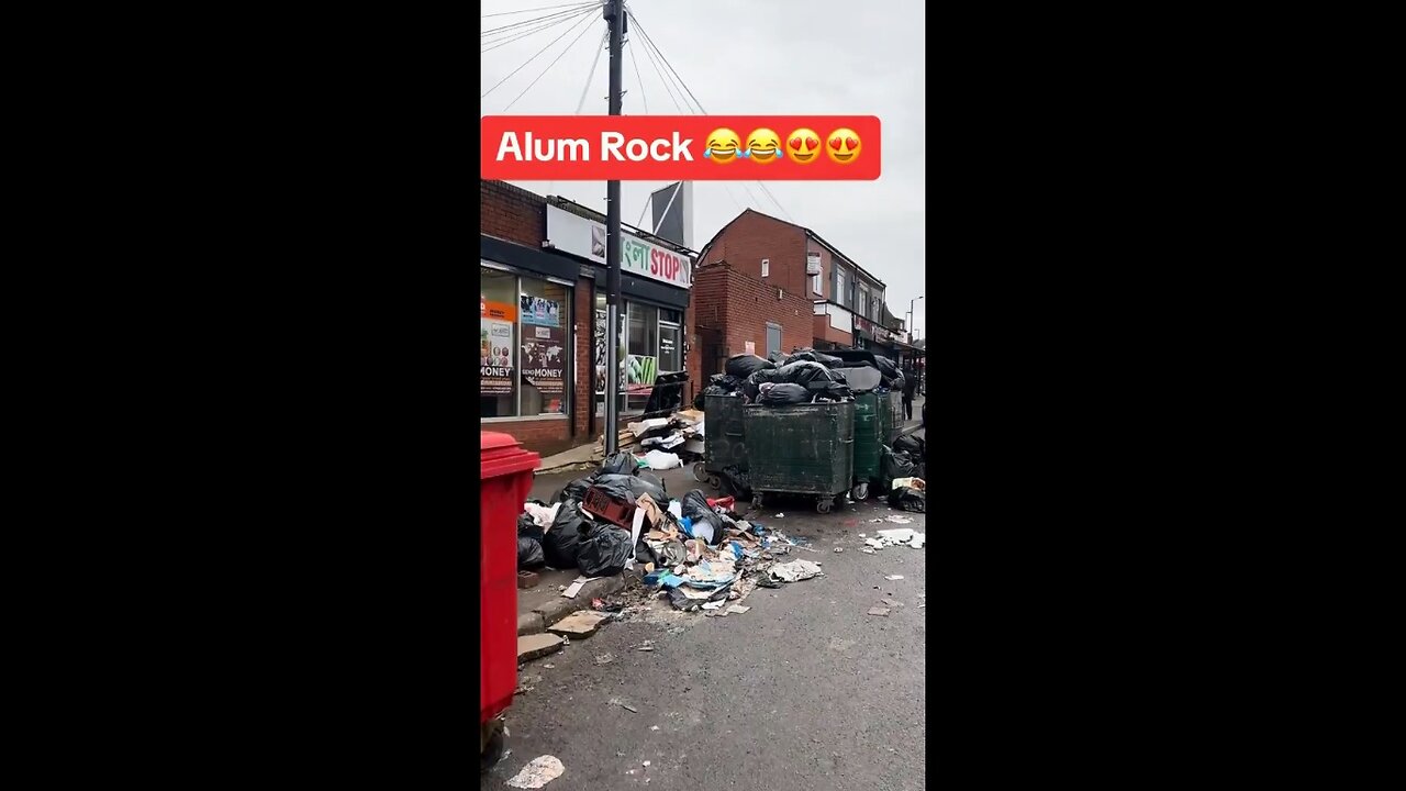 Alum Rock, Birmingham UK: Import The Third World... Become The Third World