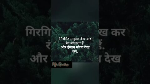 True lines ❤️Motivational shorts #shorts #viral #trending #quote #mfrquotes