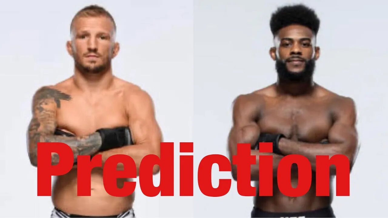 Aljamain Sterling Vs TJ Dillashaw Early Prediction