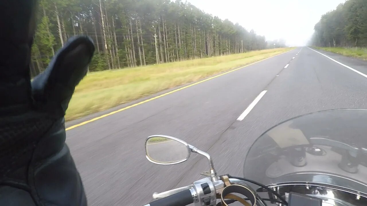 Riding past a roadkill SKUNK on a Motorcycle! GROSS!