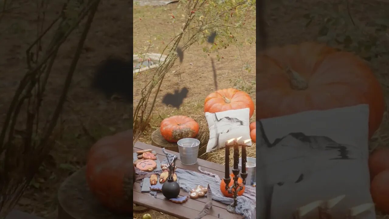 Fall vibes #relaxing #shorts #youtubeshorts #halloween #october #fall #autumn #shortsvideo