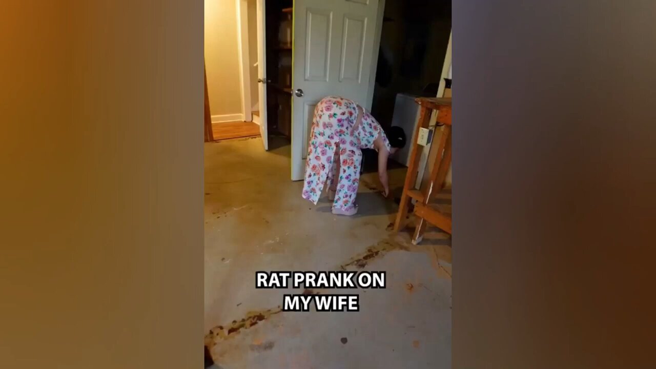 Instant Regret - Funny fails compilation