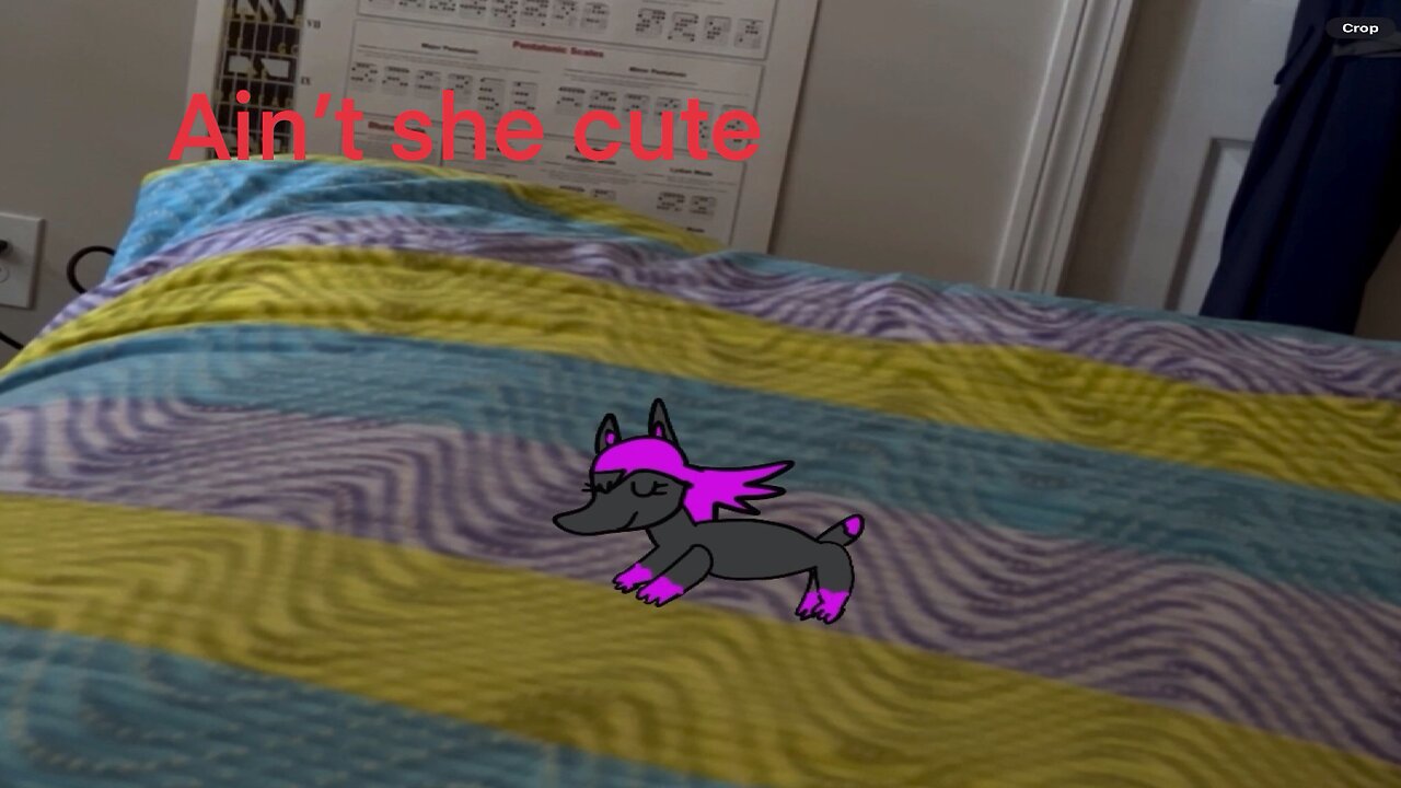 My lovely marrua sleeping