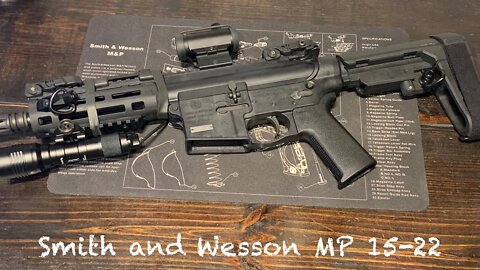 Smith and Wesson MP 15-22 Updated Review | AYO! Daeni