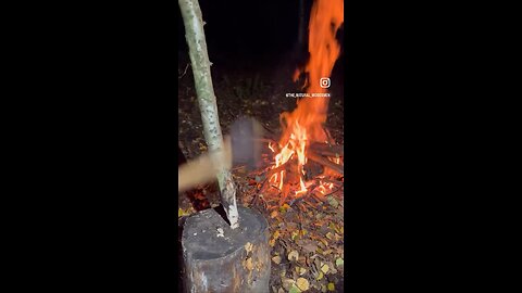 Venison and sweet potatoes