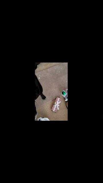 Cheers to the New Year!