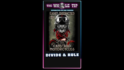 DIVIDE AND RULE - the Whole Tip Daily #shorts