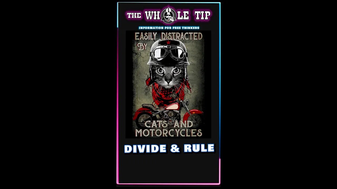 DIVIDE AND RULE - the Whole Tip Daily #shorts