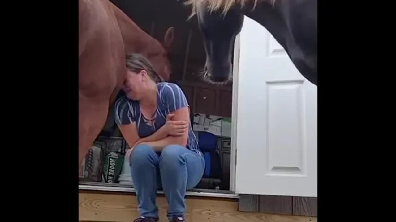 4yo Horse Understands Owner’s Emotions & Reassures Her