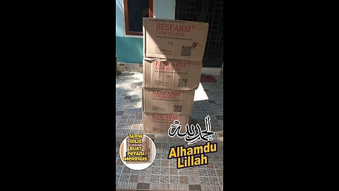 Pupuk organik buat puhon kelapa sawit