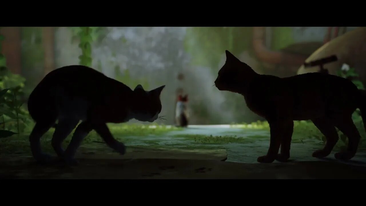 Stray Trailer