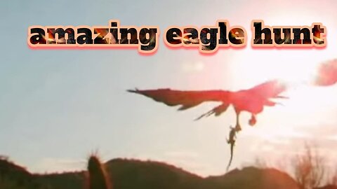 very awesome and amazing eagle hunting