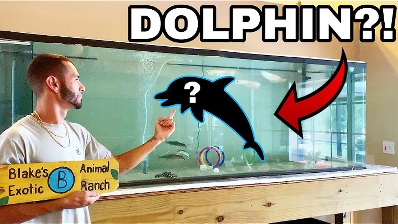 PET BABY DOLPHINS IN FRESHWATER HOME AQUARIUM!!