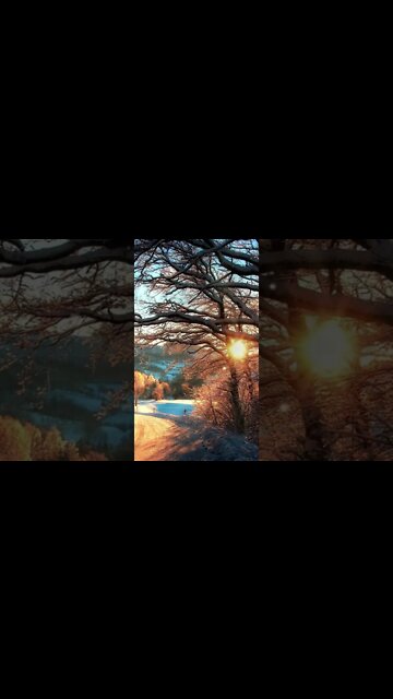 Binaural Beats Delta, Music for Deep Sleep, Sleeping Music, Healing Sleep Music, Delta Waves #shorts