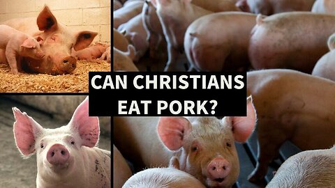 Doomsday Prepper vs. Torah (Is Pork a Sin?)