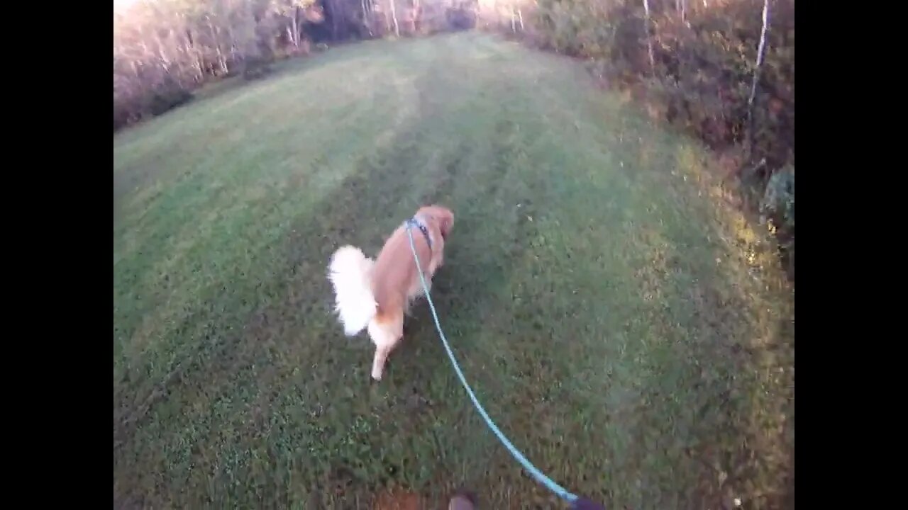 October 3rd, 56º Flynn and I hit the "North Drive", he only waters some trees.