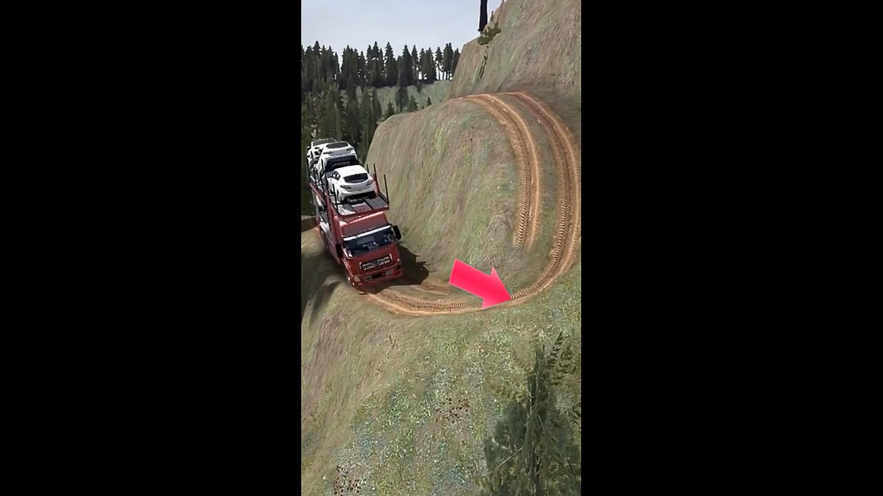 Amazing Truck Driver