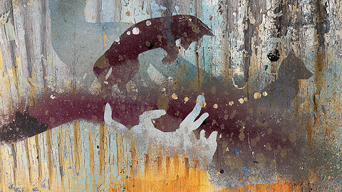 Wildlife Art from Urban Decay