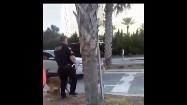 Police officers fights woman