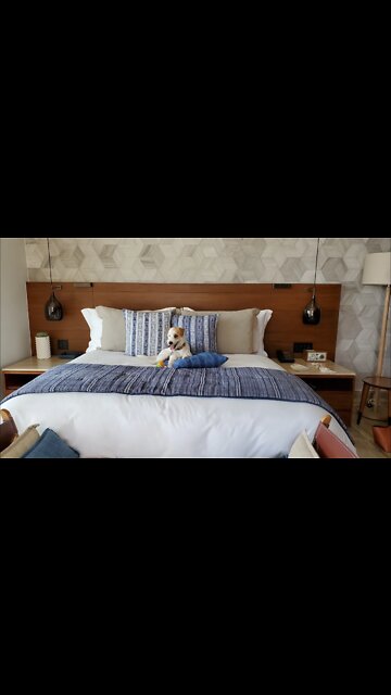 Ares' farm to the sea