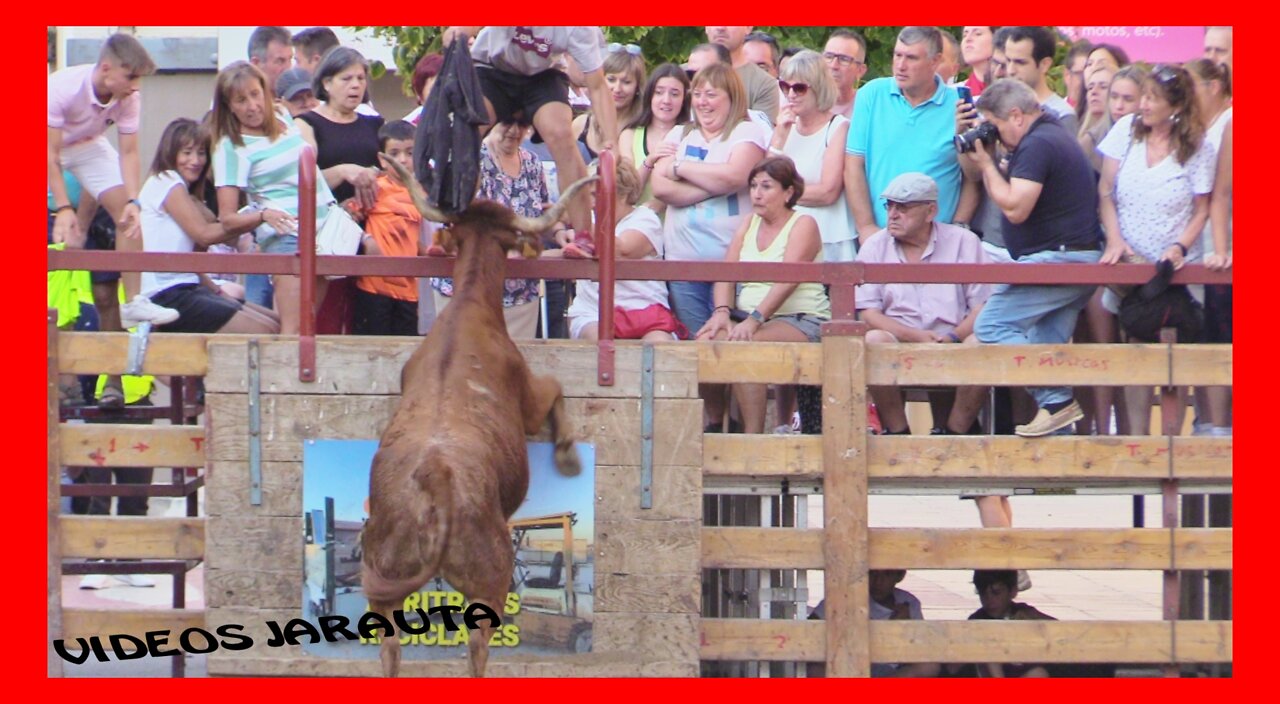 BARILLAS ( NAVARRA ) TARDE VACAS PLAZA ( VIERNES 5 AGOSTO 2022 ) ARRIAZU