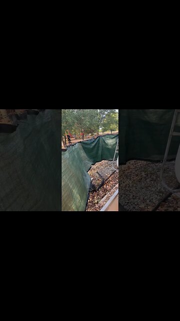 Praise the Lord for a much needed rain! The clean up was worth the storm.