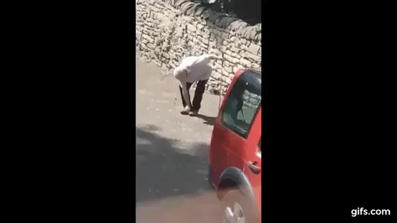 Blind Uncle Playing Fetch
