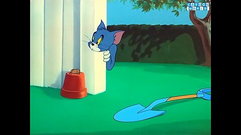 Tom&jerry Episode Hic Cup Pup Full Watch.(Cartoon World)