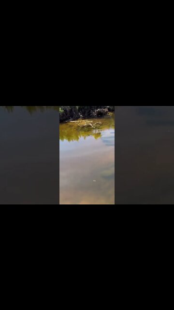 Adventuring through the beach