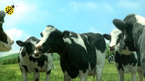 FUNNY COW DANCE 4 │ Cow Song & Cow Videos 2024