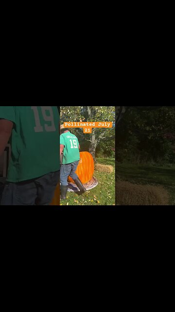 Giant Pumpkin LIPSTICK #bubba #holloween #fallideas