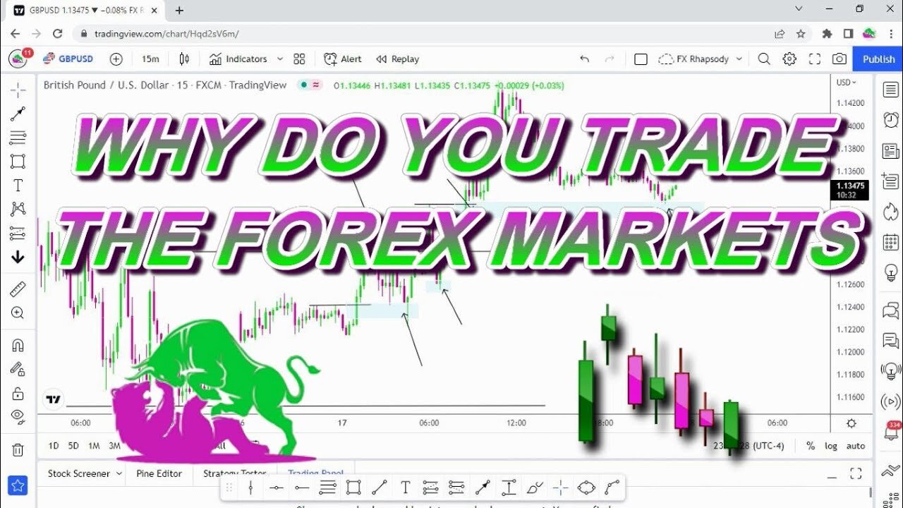 WHY DO YOU TRADE THE FOREX MARKET