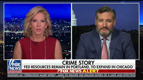 Cruz Strikes Back at Dems: You're Abandoning Oath to Protect People You Serve