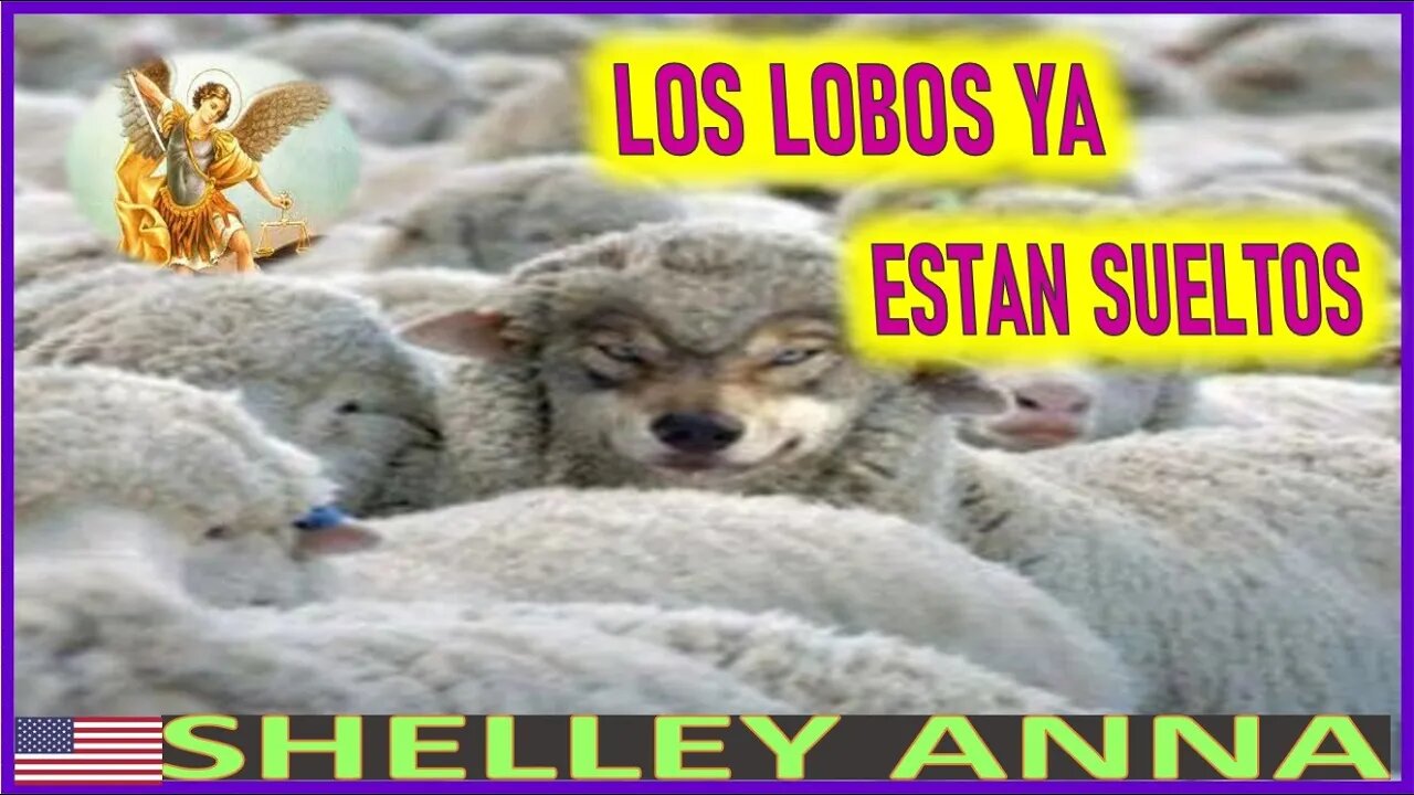 LOS LOBOS YA ESTAN SUELTOS - MENSAJE DE SAN MIGUEL ARACANGEL A SHELLEY ANNA 22JUN22