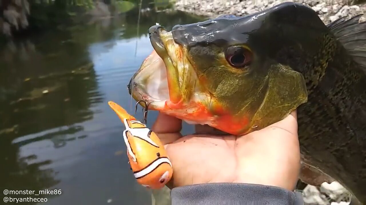 DIY Best FISHING LURE!!! Lifelike Swimming!