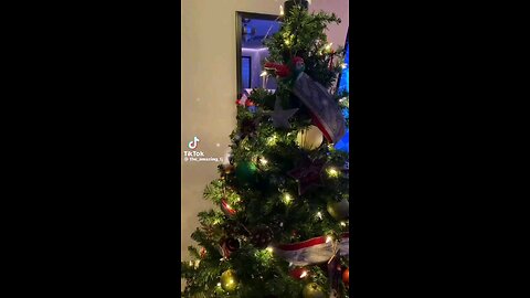 Rocking Around the Christmas tree