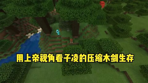 我的世界联机:用上帝视角看子凌的压缩木剑生存