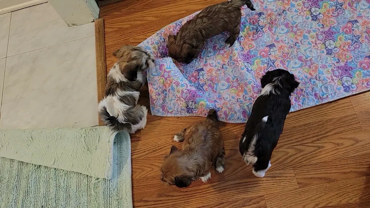 May 7th.. Kitchen Time