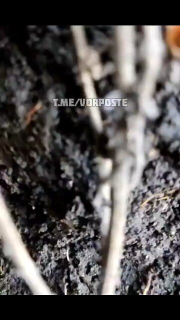 Ukrainian soldier filming from a trench as shells fall just meters from him!