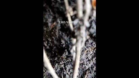 Ukrainian soldier filming from a trench as shells fall just meters from him!