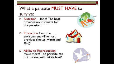 My Final Call to Exit the Cities - The Way to Starve a Parasite is Remove the Host