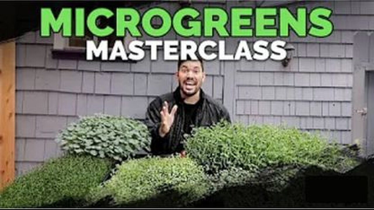 How to Grow Microgreens from Start to Finish (COMPLETE GUIDE)