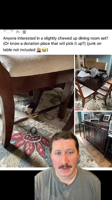 Anyone want some CHEWED UP furniture??? 😂😂💀